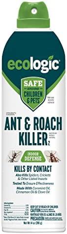 Top Eco-Friendly Pest Control⁤ Products for Home
